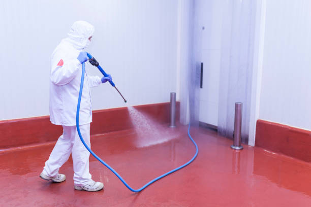 Best House Exterior Washing  in Glespie, IL