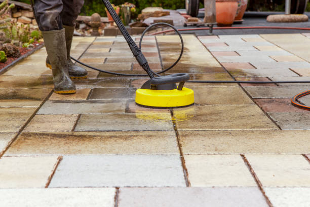 Best Fence Cleaning  in Glespie, IL