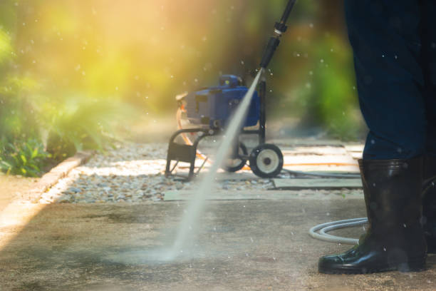 Best Animal Enclosure Cleaning  in Glespie, IL